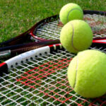 Как делать ставки на теннис: обучение и тактика